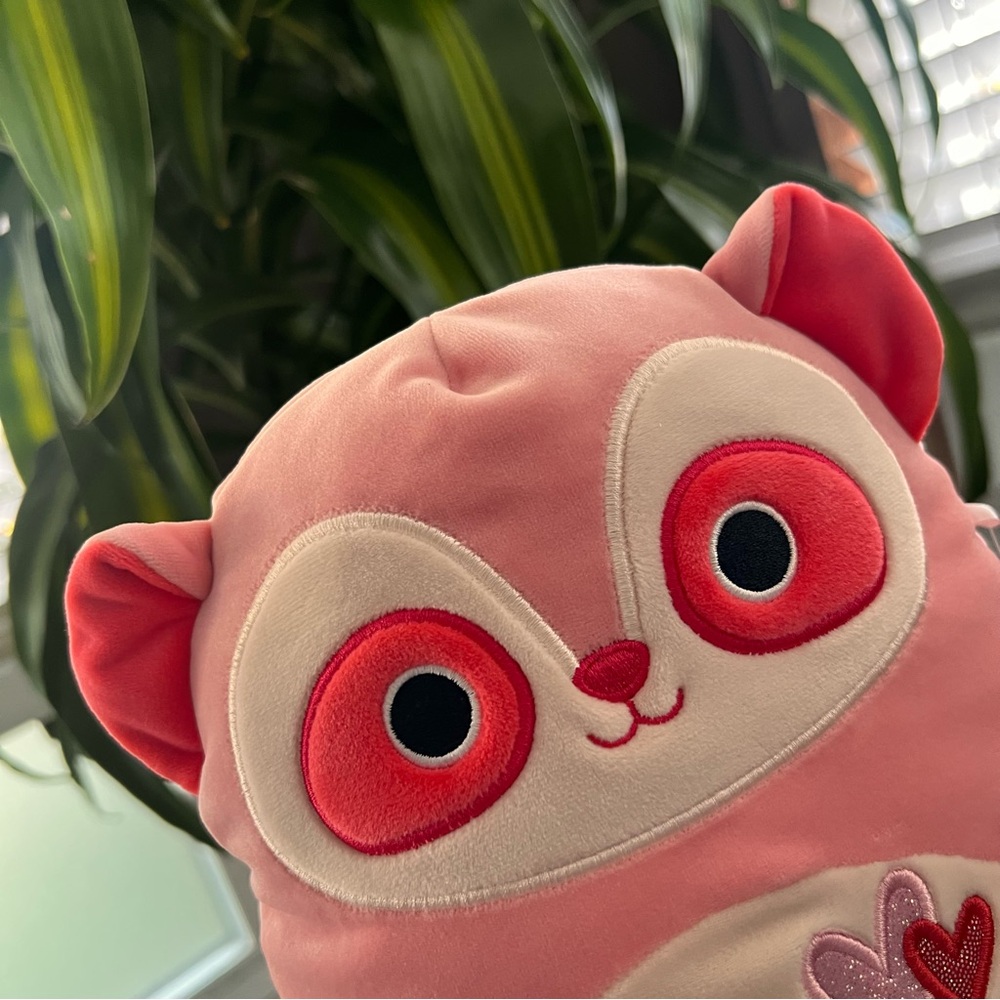 Squishmallows! - Picture 4 of 14